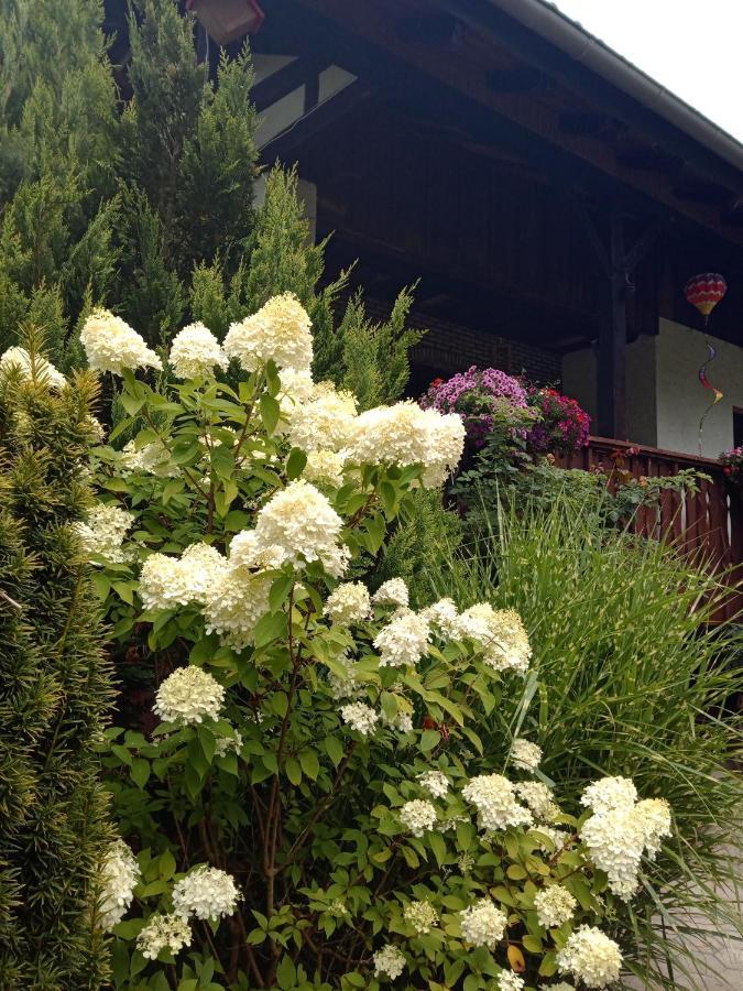 Ferienwohnung Schmallenberg Zewnętrze zdjęcie