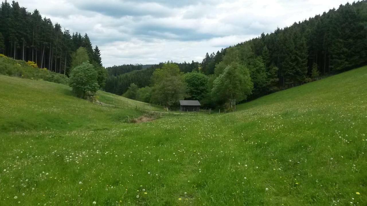 Ferienwohnung Schmallenberg Zewnętrze zdjęcie